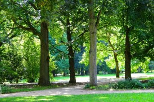 Psychologosche Beratung für Firmen